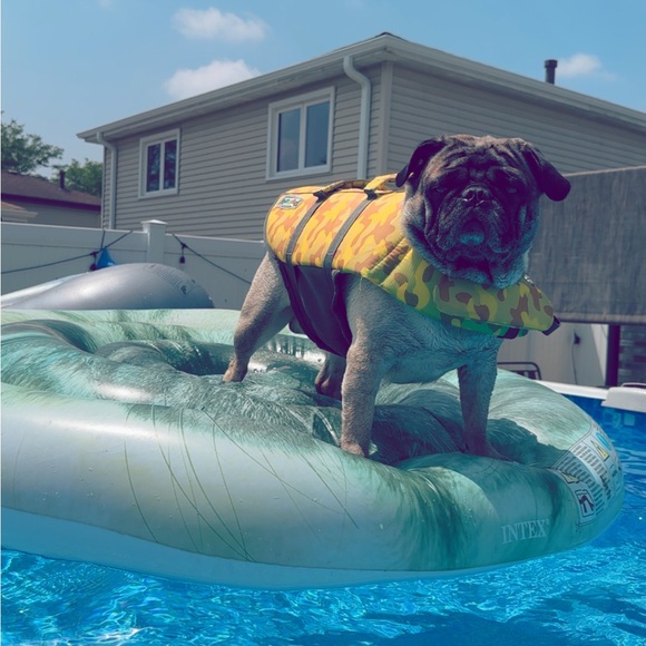 Meet your Posher, Lydia - Picture 16 of 17